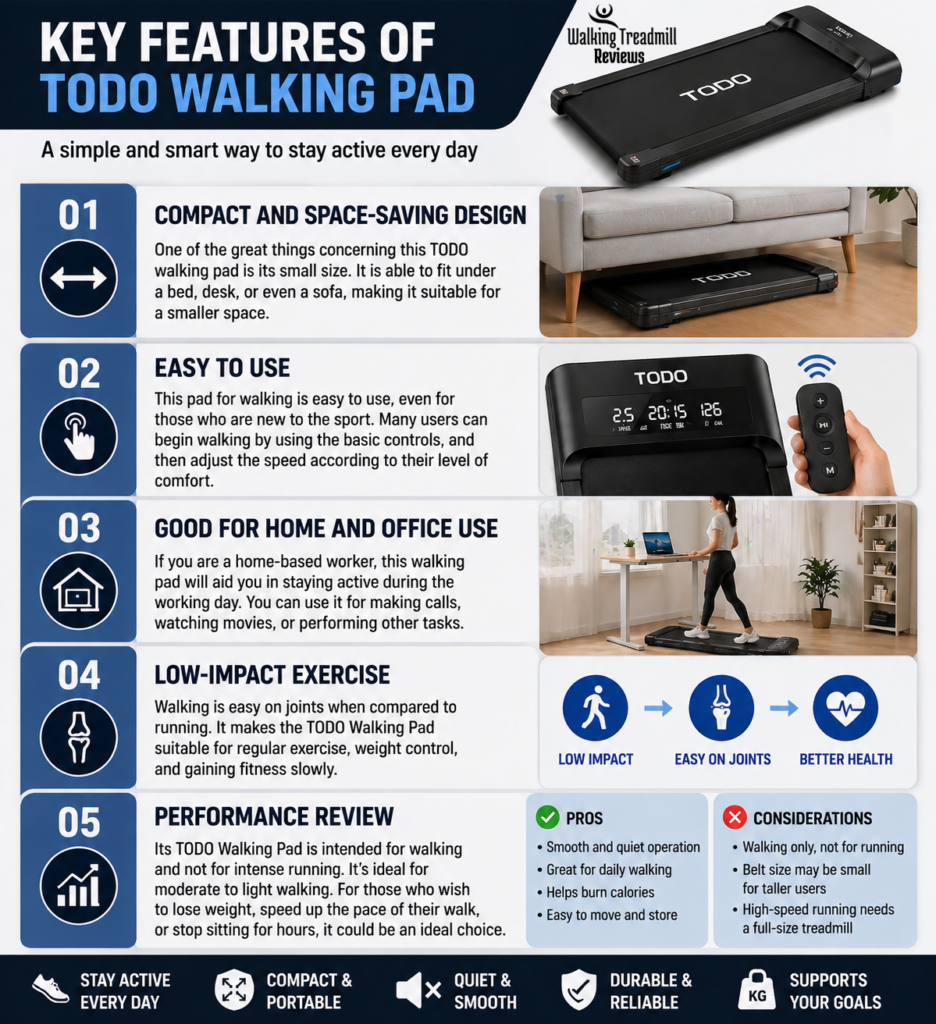 TODO Walking Pad Review