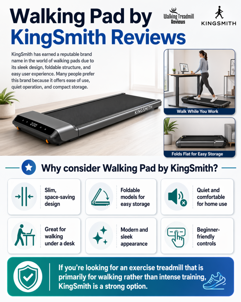 Walking Pad by KingSmith Reviews