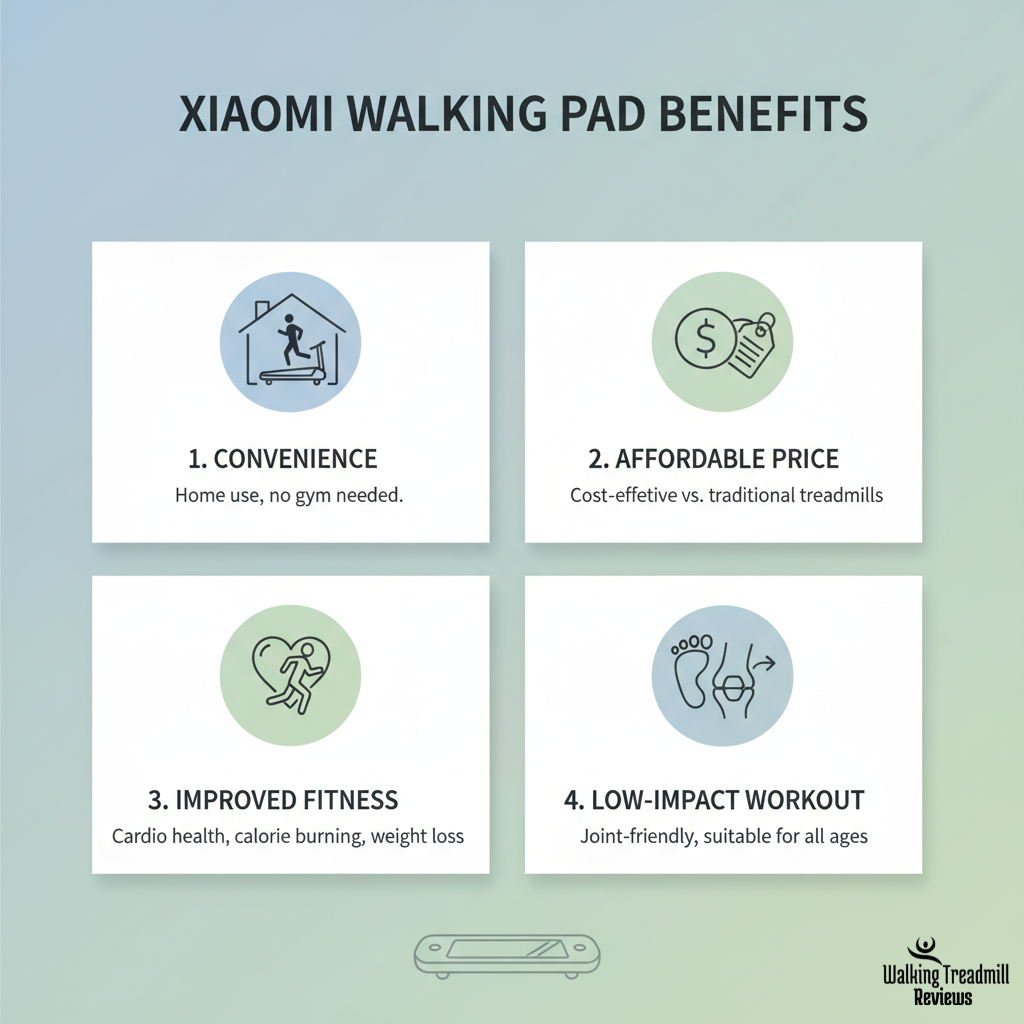 Xiaomi Walking Pad reviews