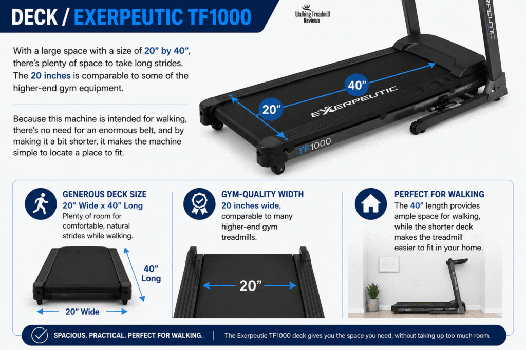 Exerpeutic TF1000 Review