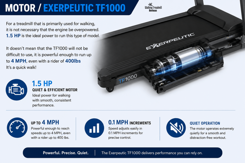 Exerpeutic TF1000 Review